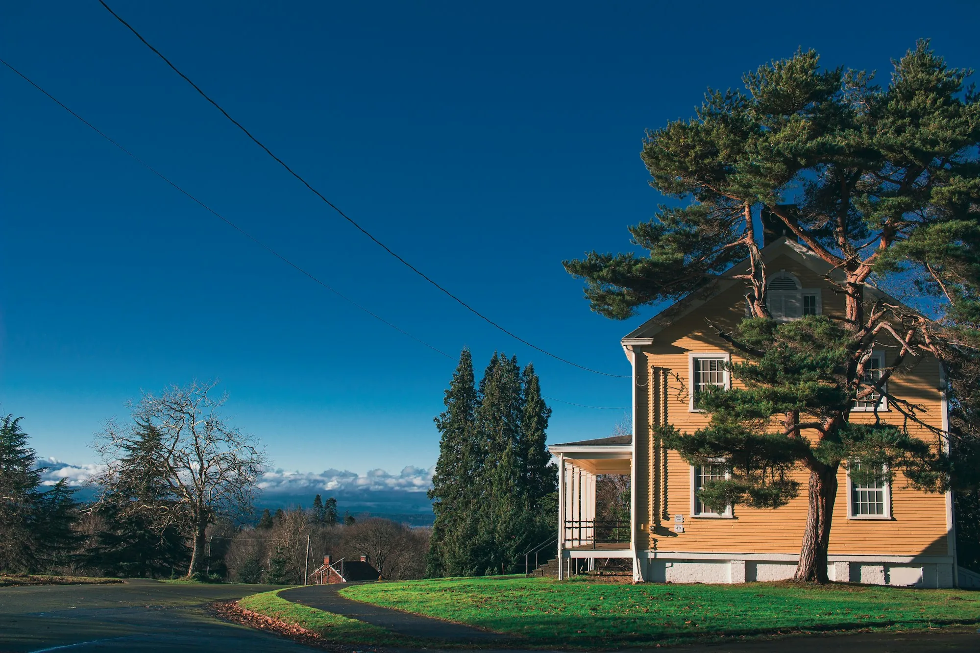 Yellow two-story house among tall evergreens under a clear blue sky